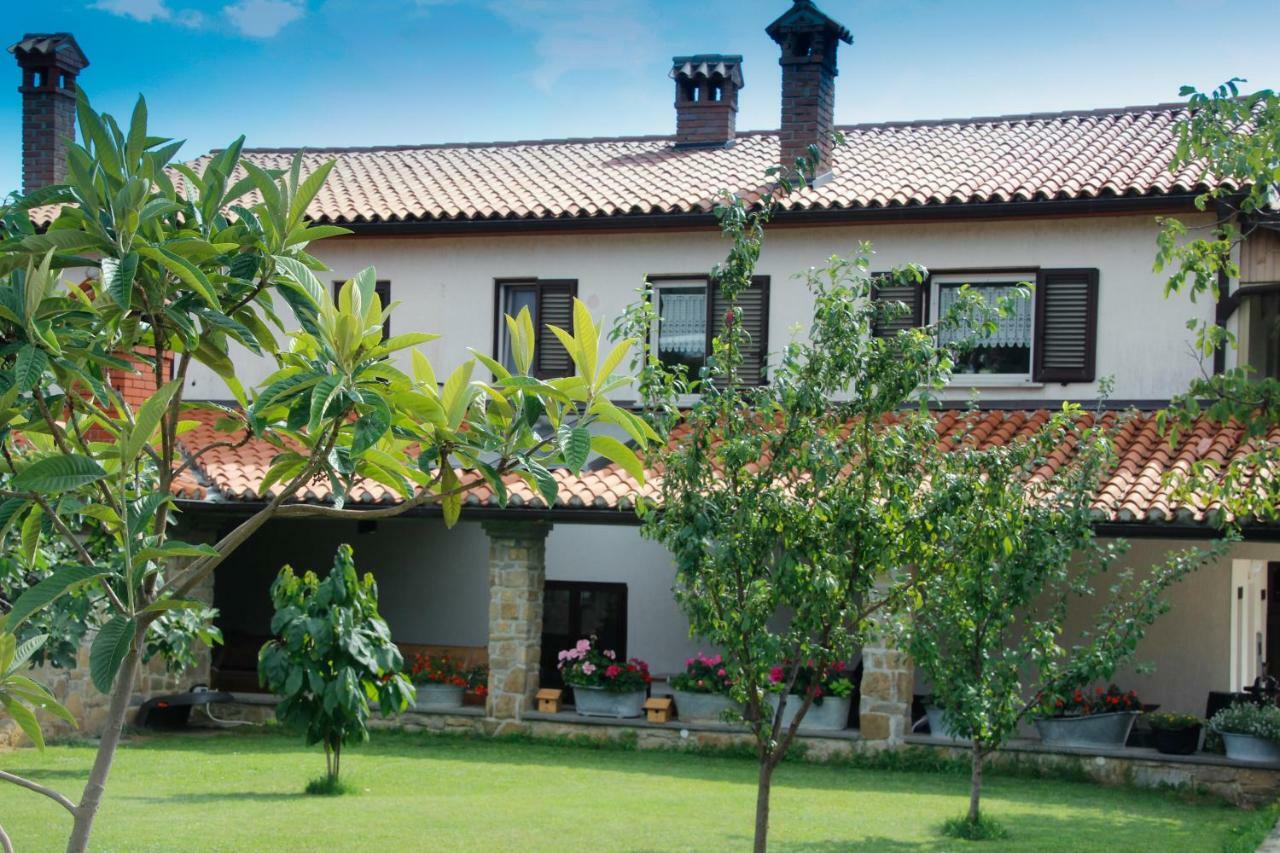 Tourist Farm With Apartments Fig Tree Dekani Ngoại thất bức ảnh